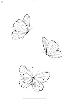 three butterflies flying in the air with one on top of the other, and another above them