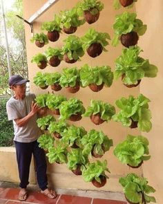 a man standing next to a wall with plants growing on it and hanging from the side