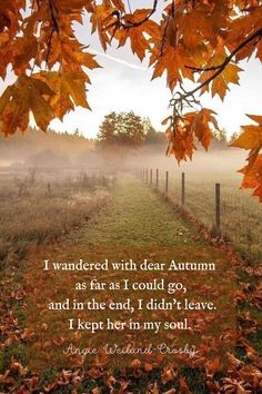 an autumn scene with the quote i wanderd with dear autumn as far as i could go, and in the end i didn't