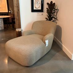 a chair that is sitting in the middle of a room with a plant on it