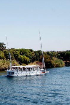 a white boat with people on it in the water near some trees and bushes,