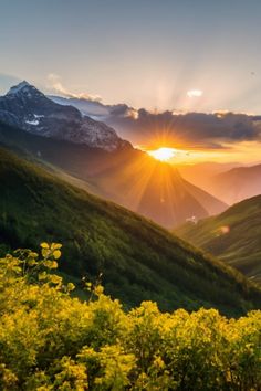 the sun shines brightly through the clouds over mountains and flowers in the foreground