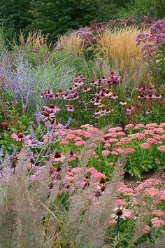 a garden filled with lots of different types of flowers