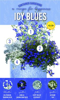 an advertisement with blue flowers in it and the words ice blues written on it, along with