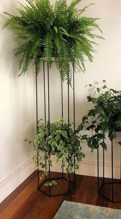 two planters with plants in them on the floor