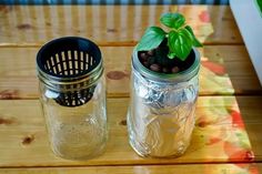 two mason jars with plants in them sitting on a wooden table next to each other