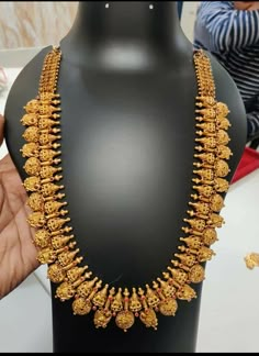 Kasu Necklace, Long Chain Designs, Nakshi Jewellery, Jewellery Model, Gold Haram Designs, Coral Jewelry Set, Temple Jewellery Earrings, South Indian Bridal Jewellery