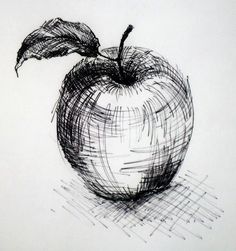 Still Life Drawing, Arte Sketchbook, A Pencil, Drawing Tutorials, Life Drawing, Pen Drawing