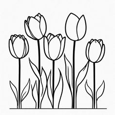 a line drawing of tulips on a white background