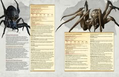 an image of a page with information about the spider