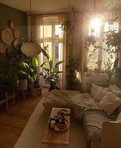 a living room filled with furniture and lots of plants on the windowsill, along with a coffee table