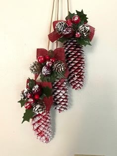 two christmas decorations hanging on the wall with pine cones and holly berry wreaths attached to them