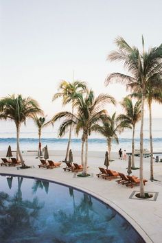 palm trees line the beach with lounge chairs and umbrellas in front of an empty swimming pool