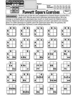 the punnet square exercises worksheet for students to practice their english and spanish words