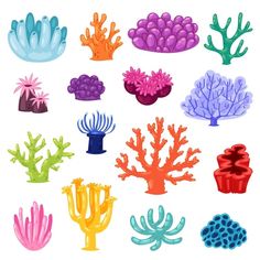 colorful seaweed and corals on white background - decorative objects objects / objects clippings