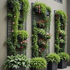 several planters are arranged on the side of a building with plants growing in them