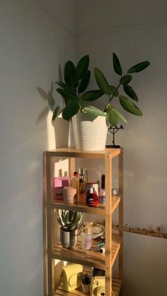 a plant is sitting on top of a shelf