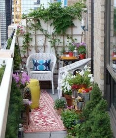 an outdoor patio with potted plants and chairs