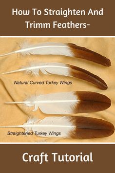 how to straighten and trim feathers with instructions for beginners by crafty wings