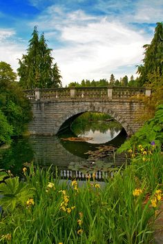 an old stone bridge over a river surrounded by lush green plants and flowers on a sunny day