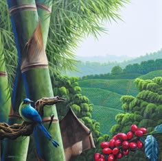 a painting of a blue bird perched on a tree branch with red berries in the foreground