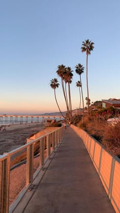 a walkway leading to the beach with palm trees