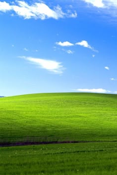 a green field under a blue sky with some clouds in the background and a lone tree on top