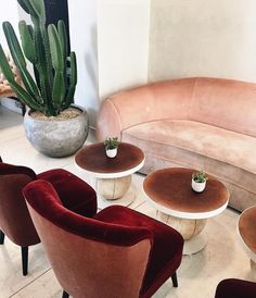 a living room filled with furniture and a potted plant on top of a table