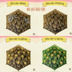 four different types of pine cones are shown in this graphic above it is an image of the same type of pine cone