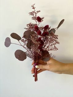 a hand holding a bouquet of dried flowers and leaves in front of a white wall