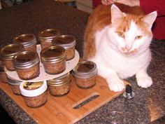 an orange and white cat sitting on top of a wooden cutting board next to jars filled with food