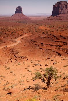 a dirt road in the middle of desert with two large rocks on one side and a small tree on the other