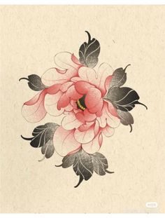 Orientalism Flower Tattoo, Pink Japanese Flower Tattoo, Red Peony Drawing, Japanese Peony Flower Tattoo Design, Peony Color Tattoo, Japanese Peonies Tattoo, How To Draw Peony, Peony Irezumi, Japanese Tattoo Peony