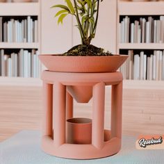 a potted plant sitting on top of a pink stand in front of a book shelf