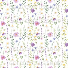 a white background with colorful flowers and leaves on the bottom right corner is an image of wildflowers