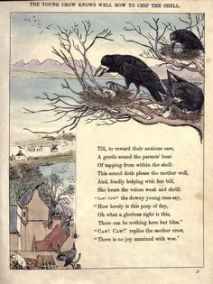 an old book with two black bears in the tree and one is looking at another bear