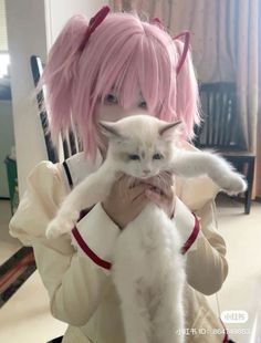 a woman with pink hair holding a white cat in her hands and looking at the camera