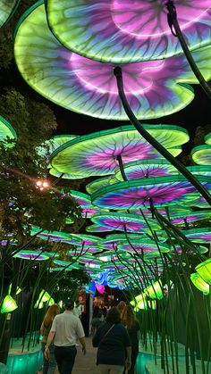 people are walking under colorful umbrellas in an outdoor area that is lit up at night