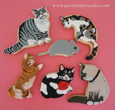 there are many different types of cats on this pink background