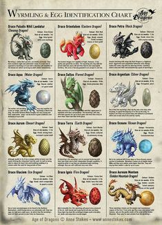 a poster with different types of dragon's and eggs