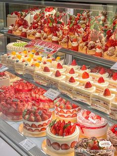 a display case filled with lots of different types of cakes and desserts on top of shelves