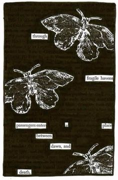 some type of insect on a black background with words written in white and brown ink