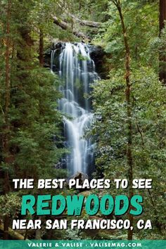 the best places to see redwoods near san francisco, ca with text overlay