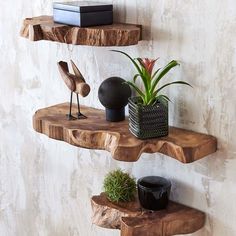 three wooden shelves with plants and vases on them