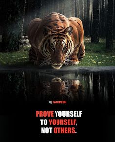 a tiger walking across a body of water with the caption prove yourself to yourself, not others