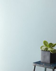 a small potted plant sitting on top of a wooden stool in front of a blue wall