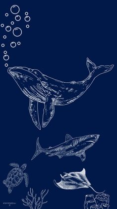 an image of whales and sea animals in the ocean with bubbles on blue background