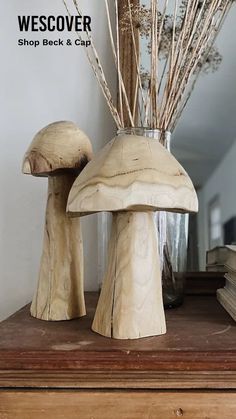 two mushrooms are sitting on a dresser next to some books and dried flowers in a glass vase