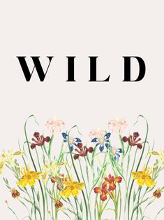 an illustration of wild flowers with the word wild in black letters on top of them