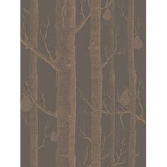 a wallpaper with trees and birds in the woods on it's brown background